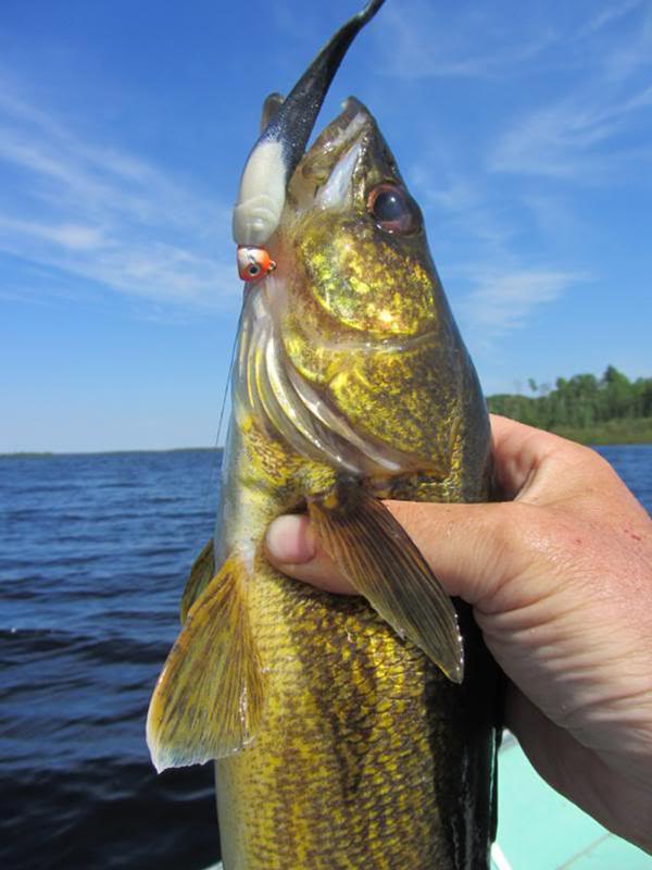 Walleye Fishing on Hot Summer Days